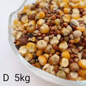 ̂ ʔz D 5kg Ƃ낱 gERV ybg  a   GT  ng ͂ nX^[ ̉a ͂Ƃ̂ ͂   