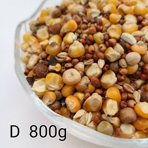 ̂ ʔz D 800g Ƃ낱 gERV ybg  a   GT  ng ͂ nX^[ ̉a ͂Ƃ̂ ͂   