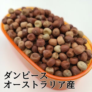 _s[X 500g I[XgAY ǂ GhE 氓 ̂ ̉a nX^[   쒹