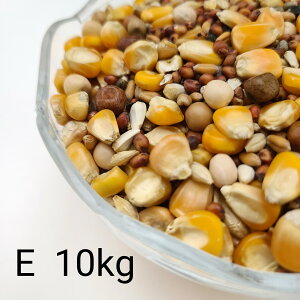 ̂ ʔz E 10kg Ƃ낱 gERV  ybg   a GT   ng ͂ nX^[ ̉a ͂Ƃ̂ ͂   