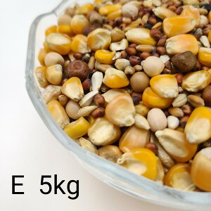 ̂ ʔz E 5kg Ƃ낱 gERV ybg  a   GT  ng ͂ nX^[ ̉a ͂Ƃ̂ ͂   