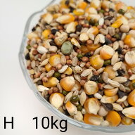 鳩のえさ 特別配合 H　10kg とうもろこし トウモロコシ 粒 ペット 小動物のえさ 餌 エサ 鳥のえさ ハトの…