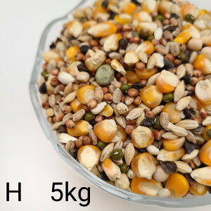 ̂ ʔz H@5kg Ƃ낱 gERV ybg  a   GT  ng ͂ nX^[ ̉a ͂Ƃ̂ ͂   