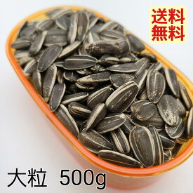 ひまわりの種・大粒 500g ヒマワリの種 ひまわり種 ハムスター 餌 オカメインコ セキセイインコ 中型インコ オウム 小鳥 おやつ フード シード リス 向日葵 サンフラワーシード おすすめ お勧め