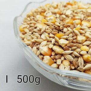 ̂ ʔz I@500g Ƃ낱 gERV ybg  a   GT  ng ͂ nX^[ ̉a ͂Ƃ̂ ͂   