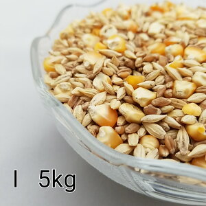 ̂ ʔz I@5kg Ƃ낱 gERV ybg  a   GT  ng ͂ nX^[ ̉a ͂Ƃ̂ ͂   