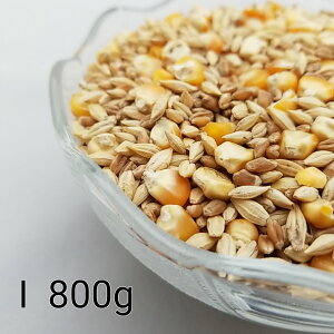 ̂ ʔz I@800g Ƃ낱 gERV ybg  a   GT  ng ͂ nX^[ ̉a ͂Ƃ̂ ͂   