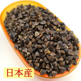 玄蕎麦【日本産】 800g 玄そば ソバ 蕎麦の実 そばの実 ソバノミ インコのおやつ オウムおやつ ハムスターおやつ リスおやつ 鳩のえさ 鳩の餌 鳩のおやつ ダイエット おすすめ お勧め 野鳥