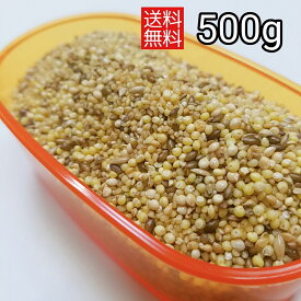 皮無しシルバー 500g 小鳥のえさ 小鳥の餌皮無し インコのえさ 皮無し むき餌 文鳥 キンカチョウ インコ 中型 小鳥ブレンド コザクラ おすすめ お勧め インコ餌