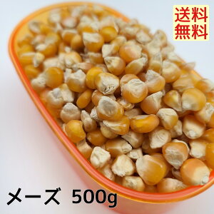 [Y(ChY)@500gƂ낱 gERV ybg  ̉a ̃GT nX^[̂ X̂ ̉a ̂ ͂Ƃ̂ ̂͂   쒹