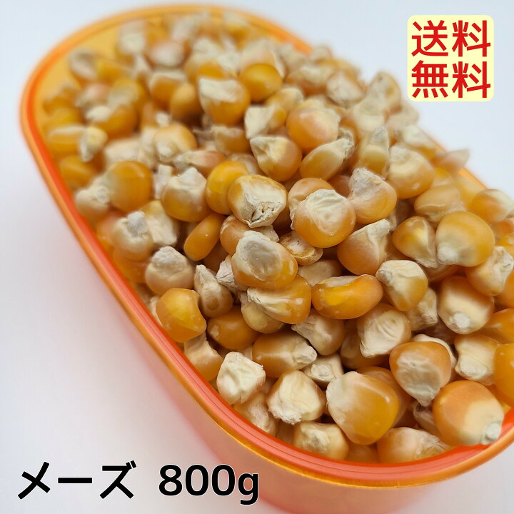楽天市場 メーズ小粒 インド産 800gとうもろこし トウモロコシ ペット 小動物 鳥の餌 鳥のエサ ハムスターのおやつ リスのおやつ 鳩の餌 鳩の えさ はとのえさ 鳩のごはん おすすめ お勧め 野鳥 サイトウ コーポレーション 楽天市場 メーズ小粒 インド産 800gとうもろこし トウモロコシ ペット 小動物 鳥の餌 鳥のエサ ハムスターのおやつ リスのおやつ 鳩の餌 鳩の えさ はとのえさ 鳩のごはん おすすめ お勧め 野鳥 サイトウ コーポレーション