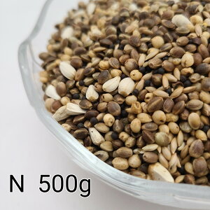 ̂ ʔz@N 500g ̎  ybg   a GT   ng ͂ nX^[ ̉a ͂Ƃ̂ ͂   