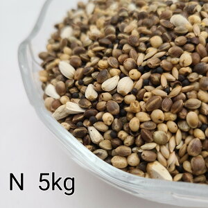 ̂ ʔz@N 5kg ̎  ybg   a GT   ng ͂ nX^[ ̉a ͂Ƃ̂ ͂   