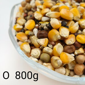 ̂ ʔz O 800g Ƃ낱 gERV ybg  a   GT  ng ͂ nX^[ ̉a ͂Ƃ̂ ͂   