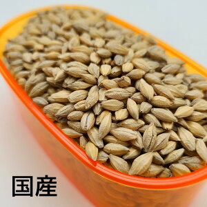 yYz唞 @500g p IIM ̂ ̉a t唞 YG CR IE M RjA VnCR E ^CnNIE Ro^ H a GT 