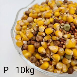 ̂ ʔz P@10kg Ƃ낱 gERV  ybg   a GT   ng ͂ nX^[ ̉a ͂Ƃ̂ ͂   