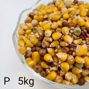 ̂ ʔz P@5kg Ƃ낱 gERV ybg  a   GT  ng ͂ nX^[ ̉a ͂Ƃ̂ ͂   