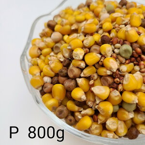 ̂ ʔz P@800g Ƃ낱 gERV ybg  a   GT  ng ͂ nX^[ ̉a ͂Ƃ̂ ͂   