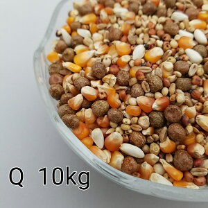 ̂ ʔz Q 10kg Ƃ낱 gERV  ybg   a GT   ng ͂ nX^[ ̉a ͂Ƃ̂ ͂   