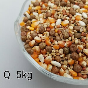 ̂ ʔz Q 5kg Ƃ낱 gERV ybg  a   GT  ng ͂ nX^[ ̉a ͂Ƃ̂ ͂   