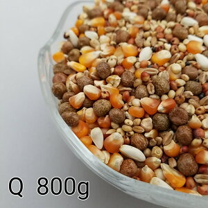 ̂ ʔz Q 800g Ƃ낱 gERV ybg  a   GT  ng ͂ nX^[ ̉a ͂Ƃ̂ ͂   