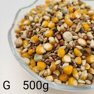 ̂ ʔz G 500g Ƃ낱 gERV ybg  a   GT  ng ͂ nX^[ ̉a ͂Ƃ̂ ͂   