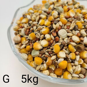 ̂ ʔz G@5kg Ƃ낱 gERV ybg  a   GT  ng ͂ nX^[ ̉a ͂Ƃ̂ ͂   