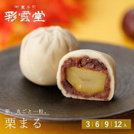 ★栗まる栗 粒あん 白餡 こなし餡 あん お茶うけ 茶菓子 ギフト 和菓子ギフト スイーツ 茶道 和菓子 プレゼント ギフト 菓子 秋 和菓子 お取り寄せ 島根 松江 彩雲堂