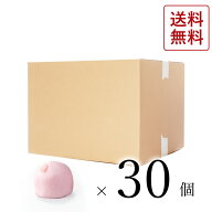 【大口注文】はな桜 30個入ひな祭り お菓子 桃の節句 桜 さくら さくらスイーツ 春限定 和菓子 春 お花見…