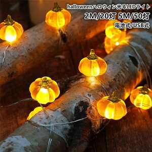 2M/20 5M/50 halloweennEBLEDCg^ ڂfUC d   fR[V nEB[ dF p[eB[d@dr/USBiX Xܑ