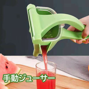 nhW[T[ 蓮 W[T[ W[Xi t[c ʕ ڂ  O[v W[X ʏ` i