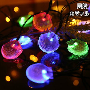 6M40 `/Lk`drLvCg AEghA Cg Lv C~l[V \Lv ledfR[VCg Lv C~l[VCg ^ MA eg 