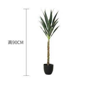 ySSԌ20OFF×P5{zbJ 90cm tFCNO[ t bJc[ ϗtA  tFCN ȒP sv lHϗtA  CeA  A rO 