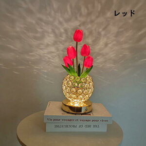 `[bvLEDCgn[g Q CeA  LEDC~l[VCgUSB[d3iRGBϊCgドCg v ͋C gF ^b`J NX}X 