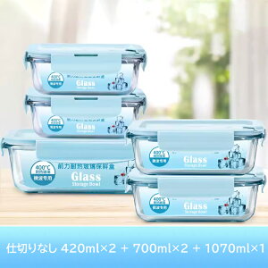 ϔMKX 5_Zbg ۑe pbN W ① ٓ  ` ϔMKX ۑRei O[ u[ sN Hޕۑ