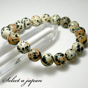 _VA WXp[ uXbg 10mm p[Xg[ uXbg Y fB[X VR  ANZT[ YuXbg fB[XuXbg p[Xg[uX