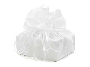 w10x В (45cm) Ten o[ bsO  В|[`  Cbh x[W   zCg ubN }XN }XNP[X ^  킢 ܂