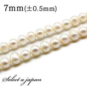 u1A 15cmv Wp[ 7mm ^ p[ o A r[Y  ΂甄 ANZT[ p[c nhCh ANZT[p[c ޗ VR΃r[Y p[Xg[r[Y