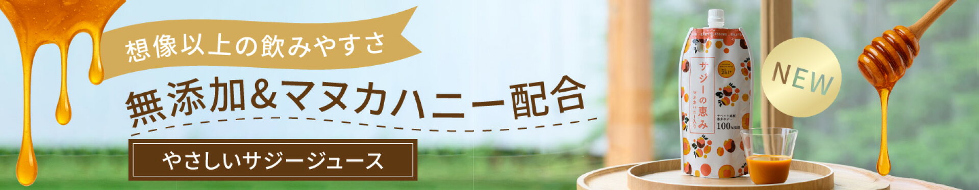 サジーの恵み 300ml 新発売