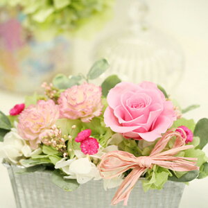 Garden K[f@iLbgEtjċx H R  킢 vU[uht[ 蕨 ̓ ̓