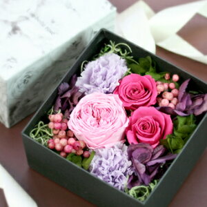 ȒPX^CbVE{bNXAW(LbgEtj ̓ 