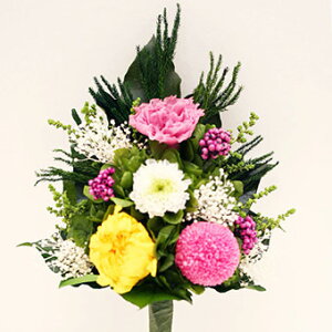 蕧 GS(ijފ݁@Mtg@@lC@V܁@@@vU[uht[@e@