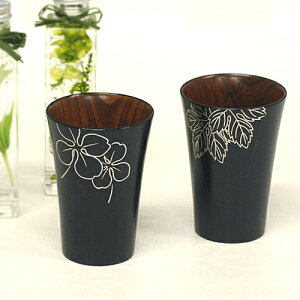 yꖳz GrAJbv 1q Mtg ̓ Mtg r[ Rbv yY   ؐ hV̓