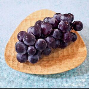 yꖳzؐ 񂩂M VR؃S i` or uEorubNy[֖zinsta@@  ؍