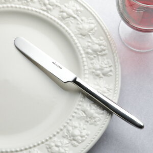 AURA AE e[uiCt XeXJg[ ~[  195mm hCc k fUC Vv {  