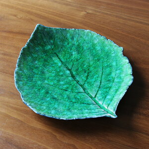 COSTA NOVA RX^Emo BG nChWA[t22cm@g}e