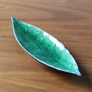 COSTA NOVA RX^Emo BG [[t18cm