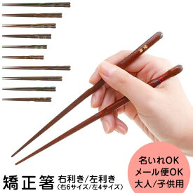楽天市場 矯正箸 子供用の通販