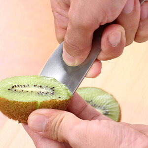 LECt[cpXv[ ̂n XeX y[֑Iz