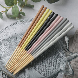 STIIK KIDS XeBbN 1V 22cm Iׂ5J[  qp p q